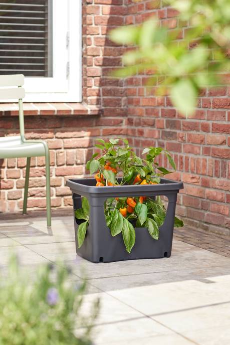 green basics stack & grow large living schwarz